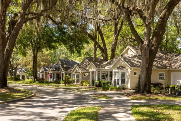 A peaceful outdoor view of residential buildings
