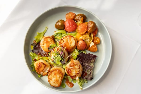 The Village at Gainesville