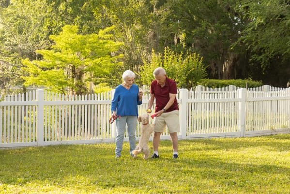 Residents walking a dog in a grassy outdoor space