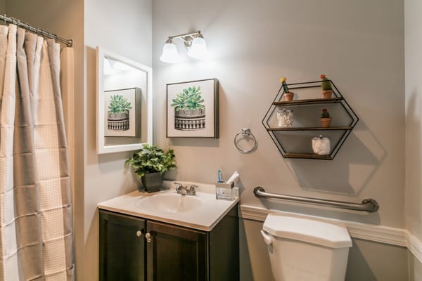 Cozy bathroom with plants and modern fixtures