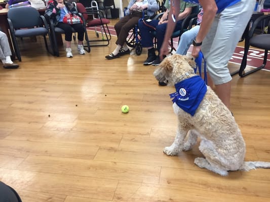Residents participating in a pet therapy session with a dog