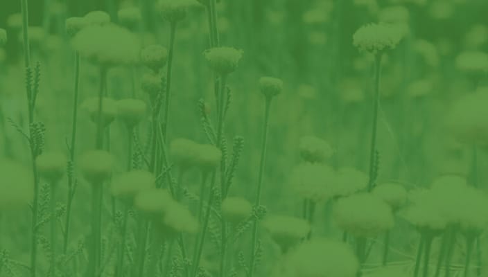 Bertrand Nursing And Rehab Center