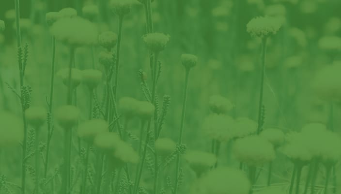 Bertrand Nursing And Rehab Center