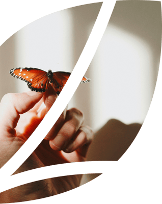 Cassena Care at Home