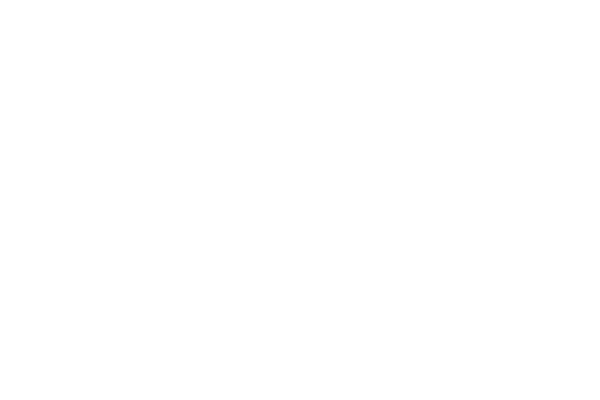 Beth Israel Homecare Inc