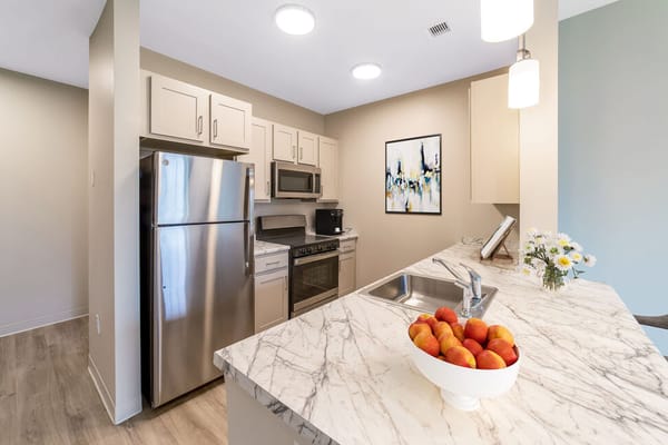 Modern kitchen in a senior living unit with apples on the counter