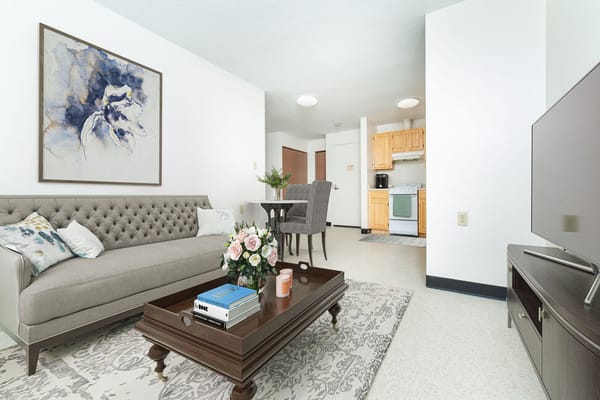 Cozy living room area in an apartment