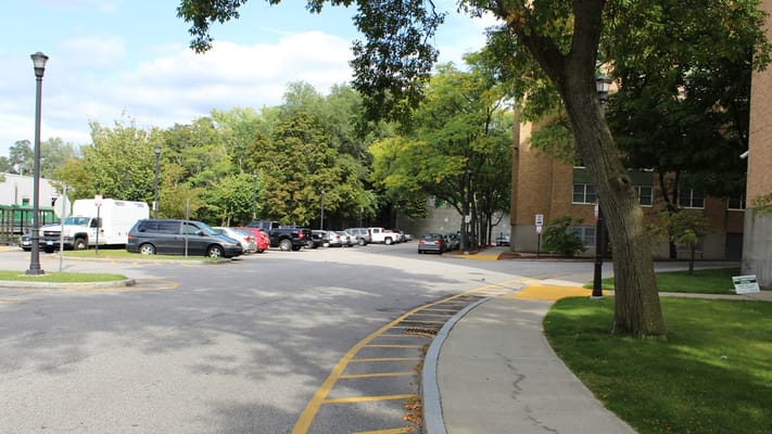 Outdoor view of parking area and surrounding greenery