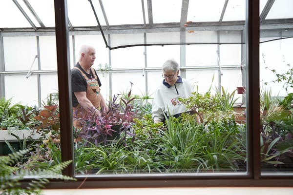 Residents engaged in gardening activities in a greenhouse
