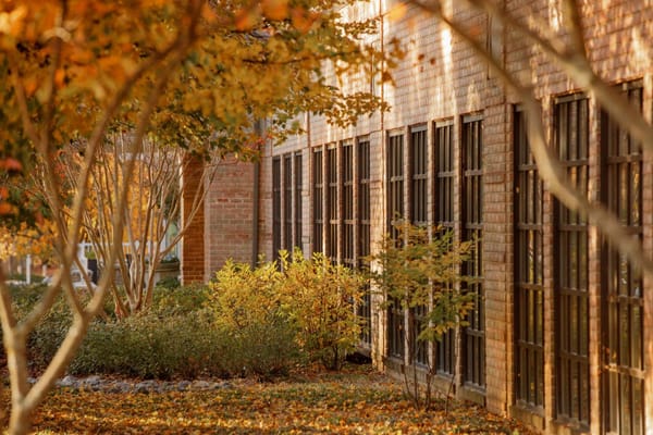 Autumn view of the facility's outdoor space with trees