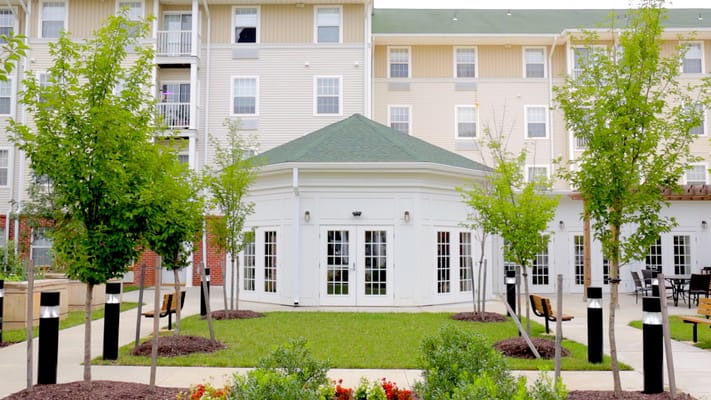 Outdoor garden area with trees and seating