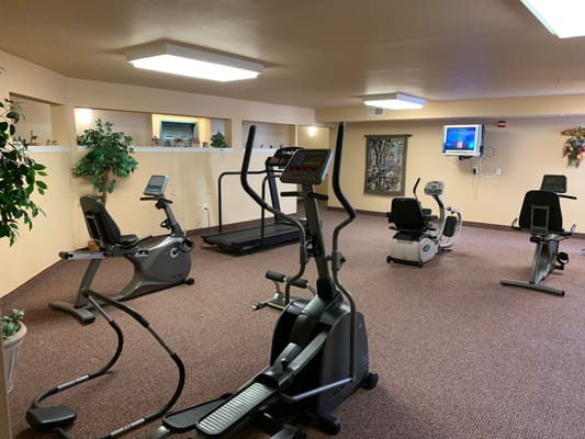 Well-equipped gym area with exercise machines