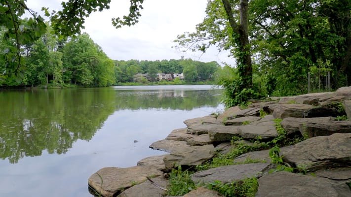 Scenic view of a lakeside area with greenery