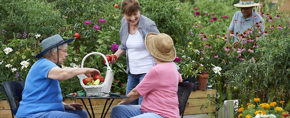 Lakeview Village – Southridge