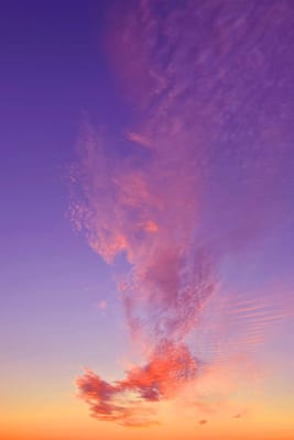 Homewood Living Frederick