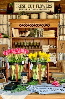 Homewood Living Frederick