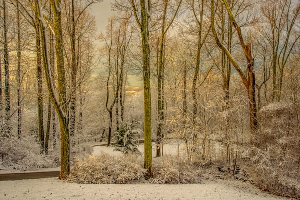 Homewood Living Frederick