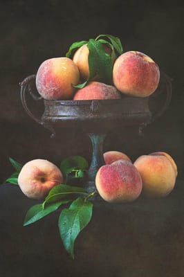 Homewood Living Frederick