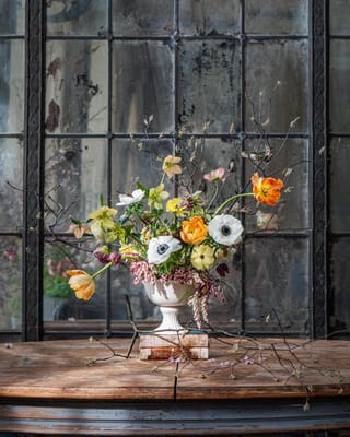 Homewood Living Frederick