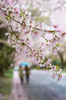 Homewood Living Frederick