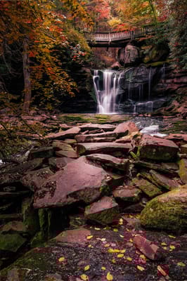 Homewood Living Frederick