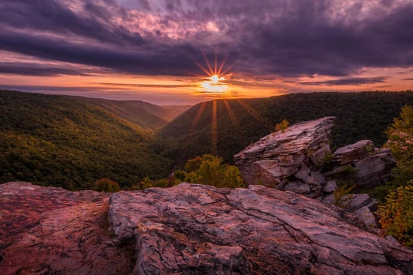 Homewood Living Frederick