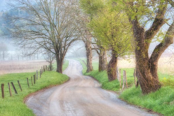 Homewood Living Frederick