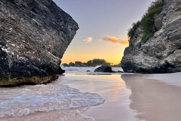 Homewood Living Frederick