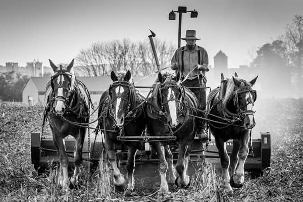 Homewood Living Frederick