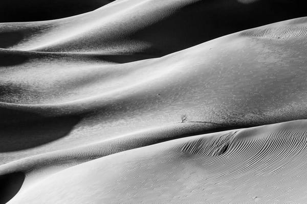 Homewood Living Frederick