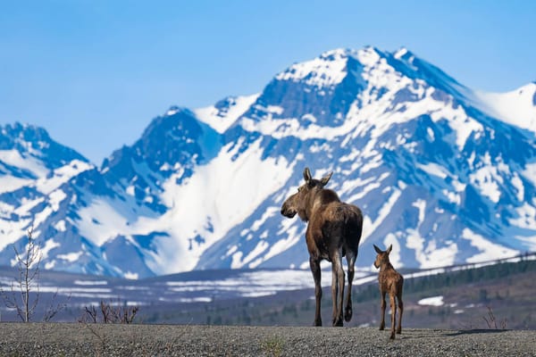 Homewood Living Frederick