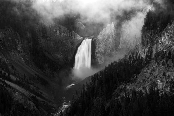 Homewood Living Frederick