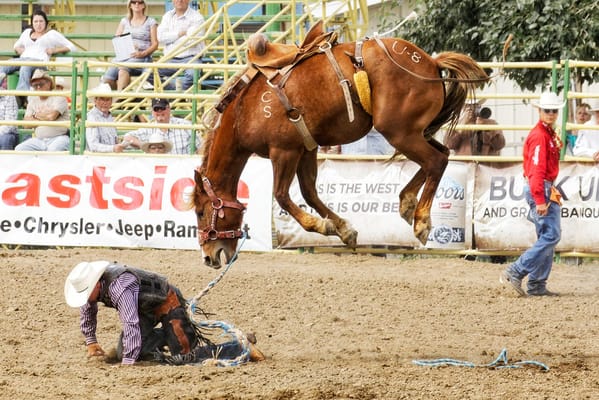 Homewood Living Frederick