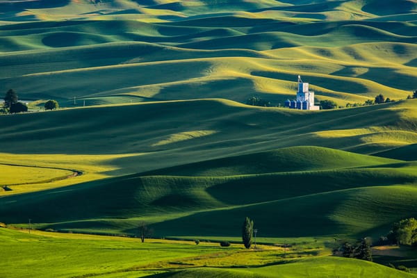 Homewood Living Frederick