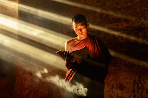 Homewood Living Frederick