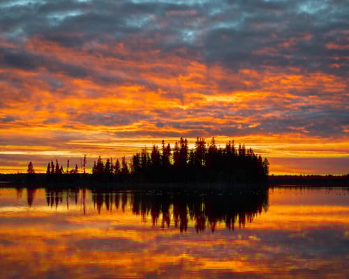 Homewood Living Frederick