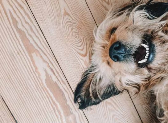 John Boyle O’Reilly Apartments