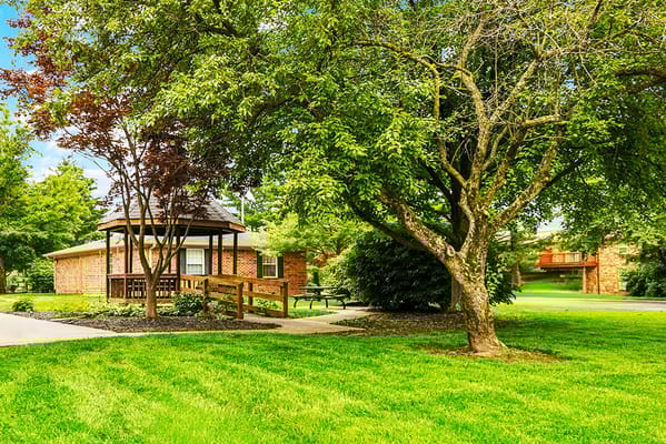 Outdoor space with gazebo and lush greenery