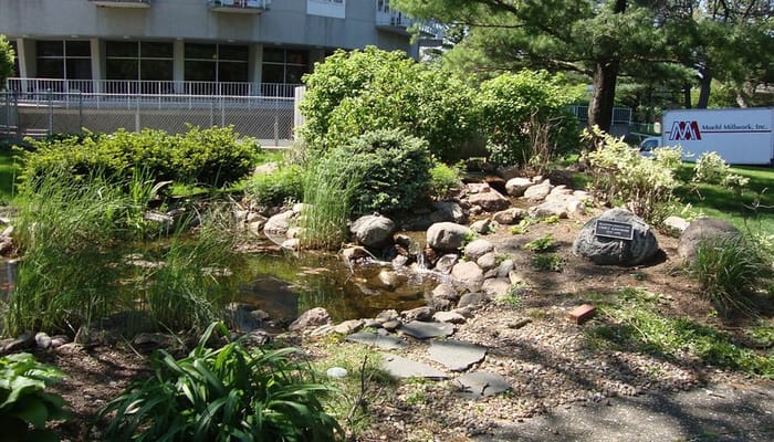 Garden pond with rocks and greenery at Plymouth Place