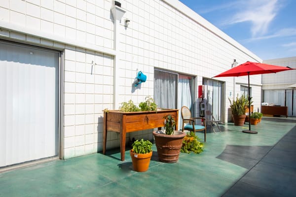 Outdoor seating area with plants and an umbrella
