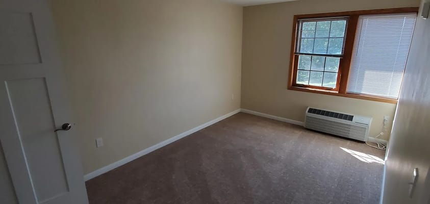 Bright, empty room with a carpet and window