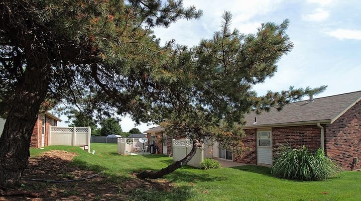 A view of the backyard with greenery and a fence.