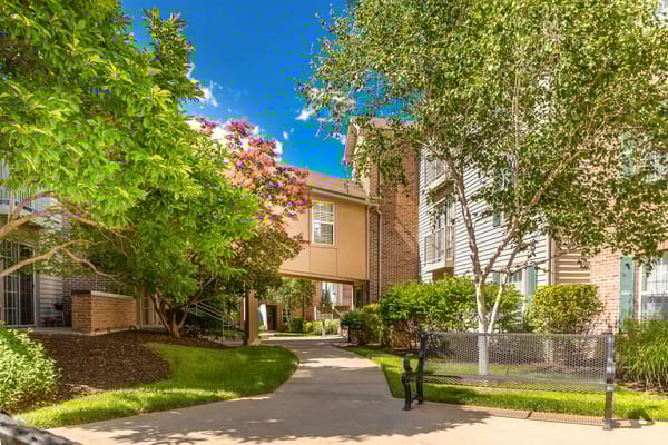 View of a landscaped outdoor pathway with trees