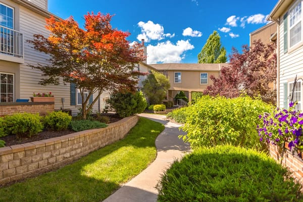 Pathway through landscaped garden area.