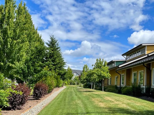 Pathway lined with trees beside the facility