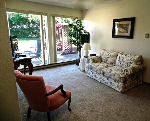 Bright, cozy interior living area with sofa and armchair