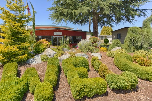 Well-maintained garden at the entrance of Golden Rose Community Center