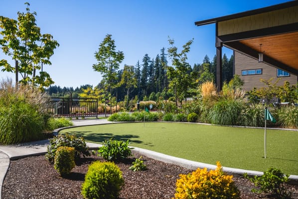 Outdoor putting green surrounded by greenery