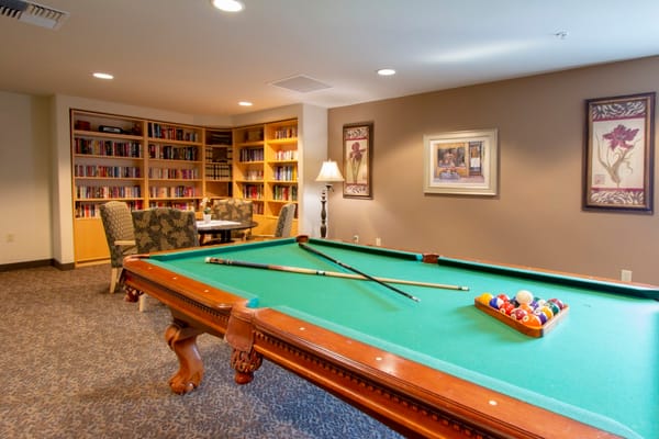 Interior common area with a pool table and bookshelves
