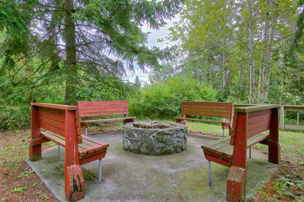 Outdoor seating area with a fire pit surrounded by trees